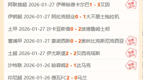 国米欧冠之旅坚守意甲目标，萨内蒂谈双重使命担当