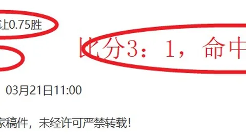 “中超焦点：王钰栋遭暴力袭击，拜合拉木冲突染红牌”